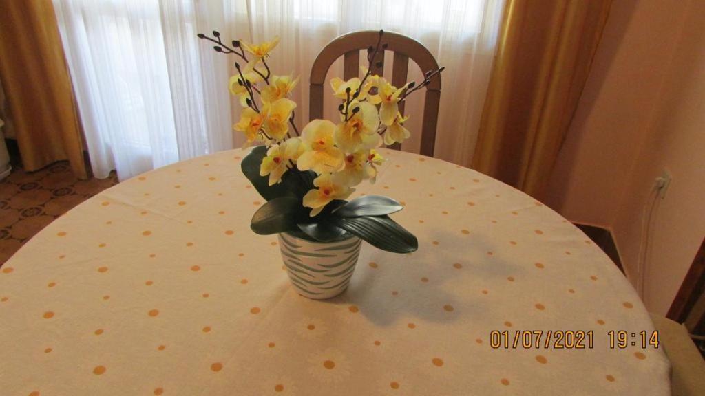 Apartment Tomy Trogir Ngoại thất bức ảnh